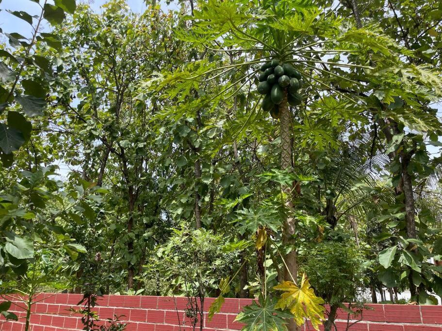 'Vrindavan' In Heritage City Mysuru Exterior photo